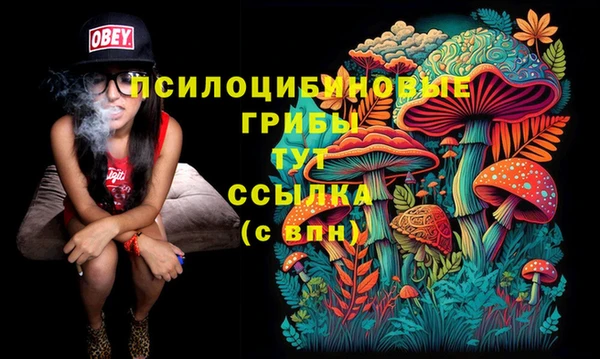 MESCALINE Новодвинск