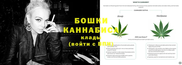 MDMA Новозыбков