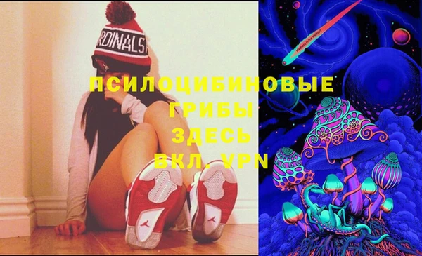 спайс Белокуриха