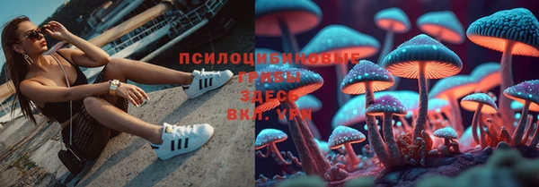 спайс Белокуриха