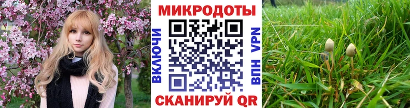 закладки  Заводоуковск  Псилоцибиновые грибы Psilocybine cubensis 